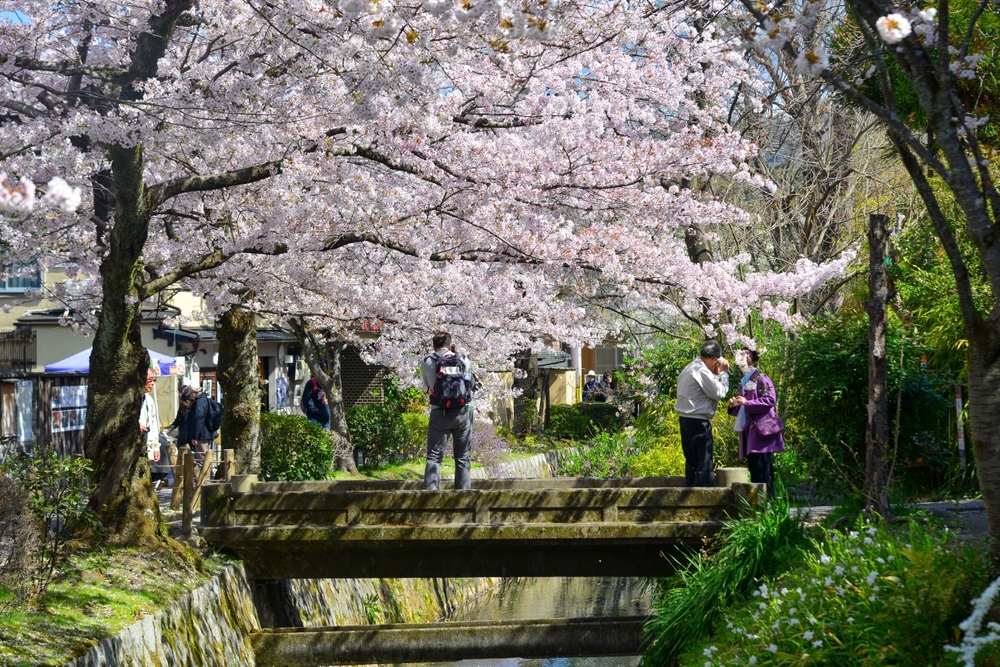京都公園 (2).jpg